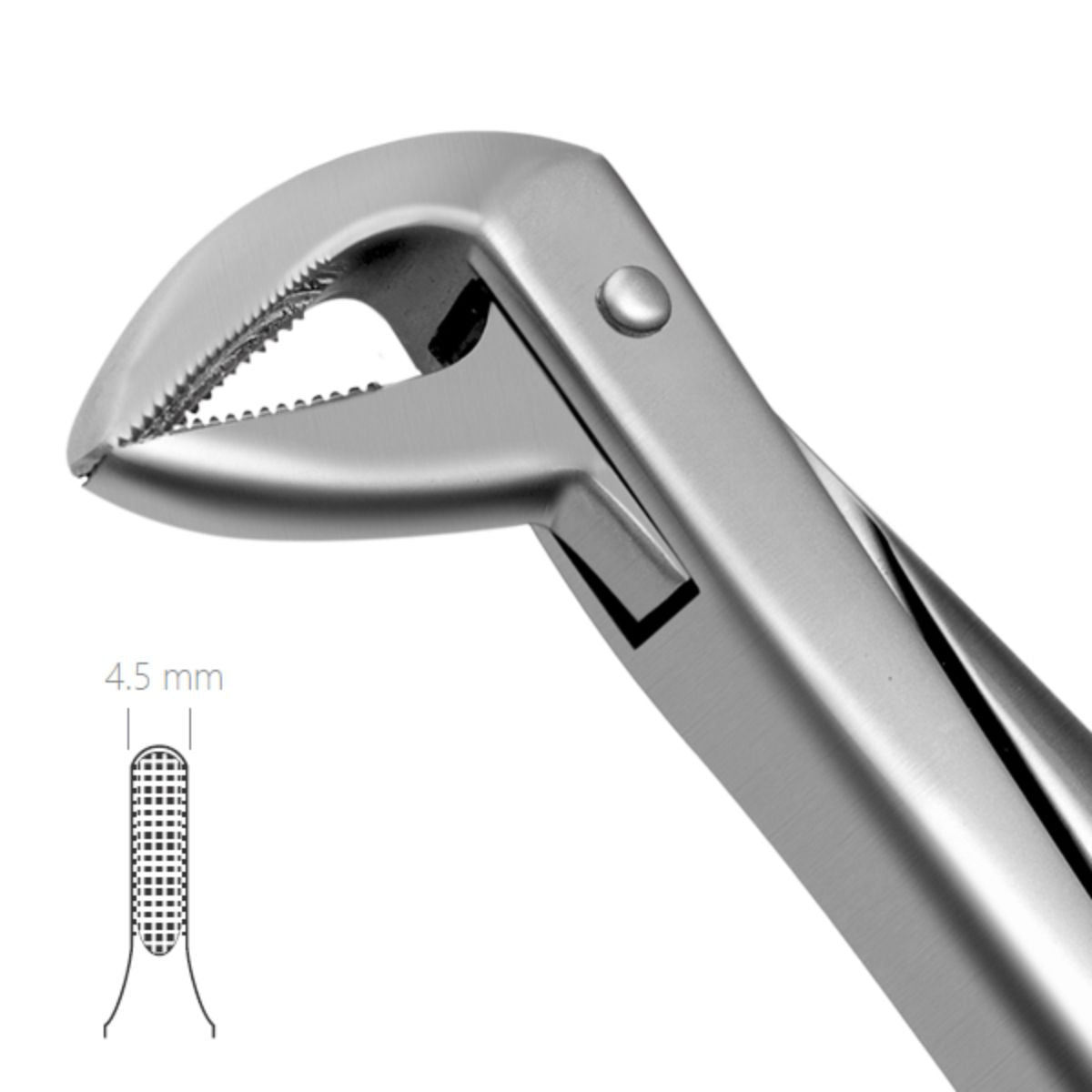 Side view of 74 Extraction Forceps – ergonomic English handle and serrated beaks for secure and precise tooth removal.