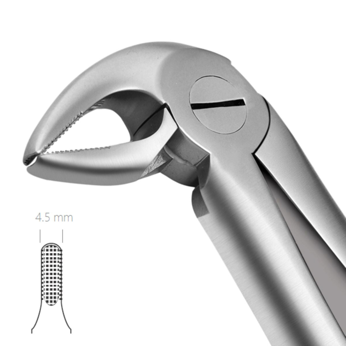 Dental Extraction Forceps 33 – English Handle Design