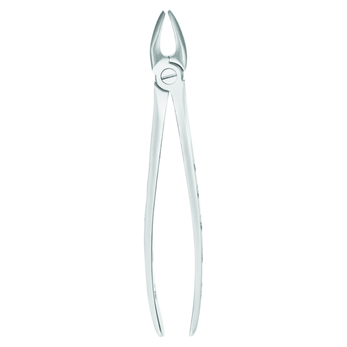 Professional dental extraction forceps adults surgical instruments set