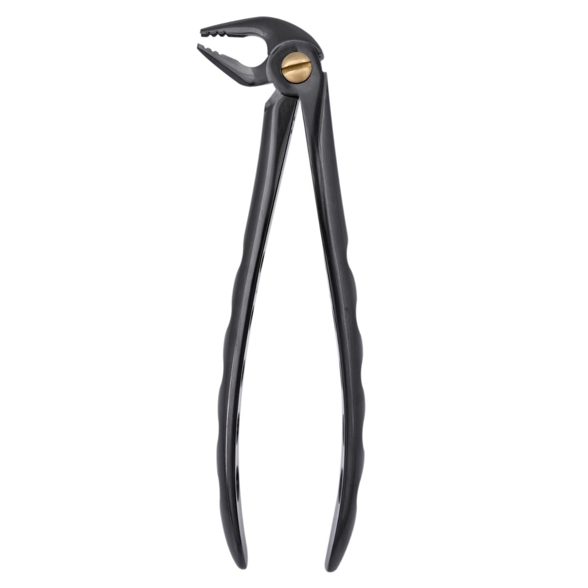 13 GE Black Extraction Forceps – Side view of titanium-coated dental tool for lower jaw bicuspid removal