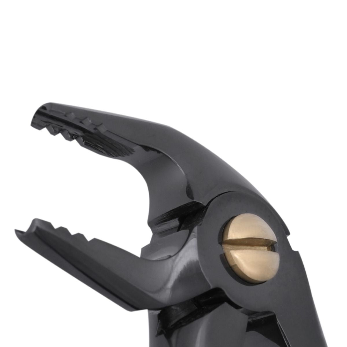 Close-up of 13 GE X Black Dental Forceps – Surgical stainless steel with ergonomic grip and laser-marked hinge