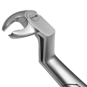 Side view of 22 12L Root Extraction Forceps – stainless steel dental instrument with textured English-style handle for controlled grip.