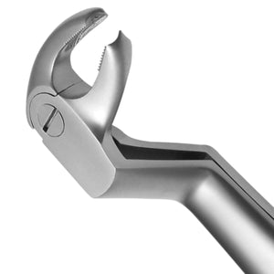 Side view of 22/12R English Pattern Extraction Forceps – ergonomic handle with serrated tips for firm tooth engagement.