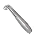 22 Root Extraction Forceps – English Pattern, front view showing serrated beaks and matte finish for precise dental extractions.
