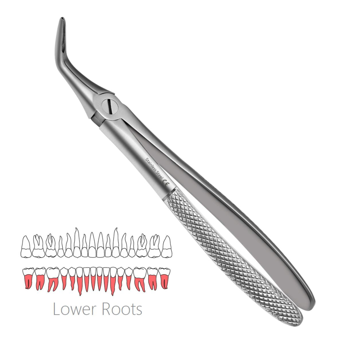 Side view of 46L English Pattern Root Extraction Forceps – German stainless steel with textured grip for controlled handling.