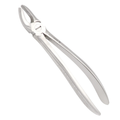 oral surgery dental extraction instrument forceps 39 for accurate tooth handling
