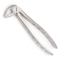 atraumatic dental extraction forceps with curved profile for natural tooth alignment