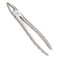 oral surgery instrument 34N forceps for controlled removal of fractured tooth roots