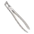 clinical dental extraction tool 79 atraumatic design for efficient molar extraction