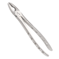 deep-grip-extraction-forceps-34n-dental-tool