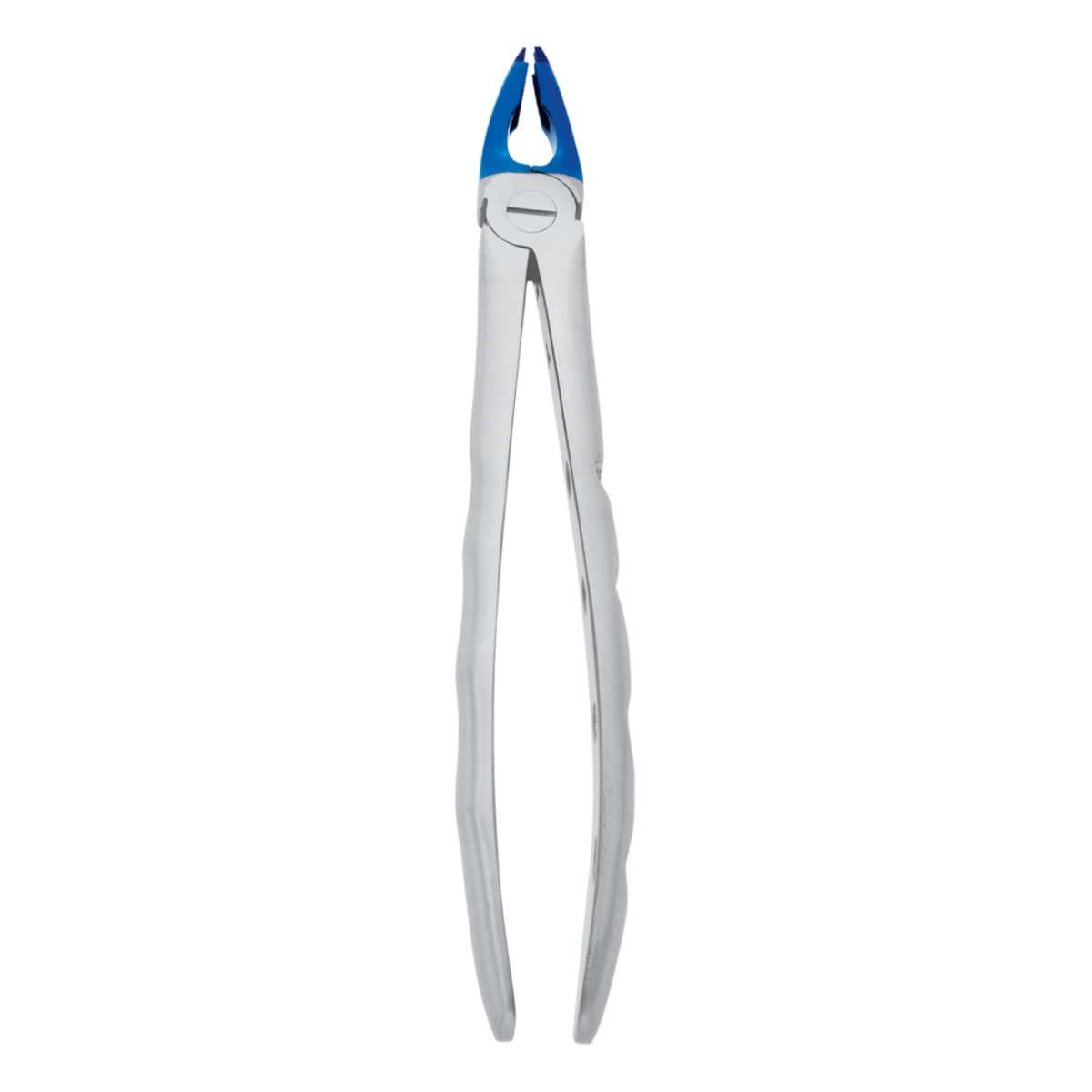 Professional dental extraction forceps blue plasma coated stainless steel
