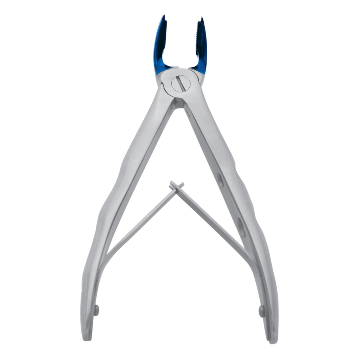 Dental surgical instruments extraction forceps blue plasma coated tips