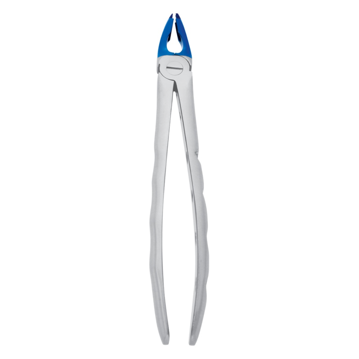 Professional stainless steel dental extraction forceps blue coated tips