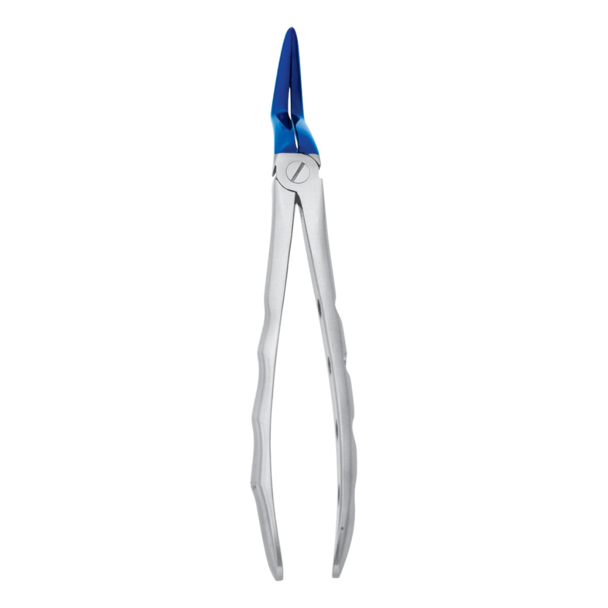 Durable dental extraction forceps set blue plasma coated surgical tools