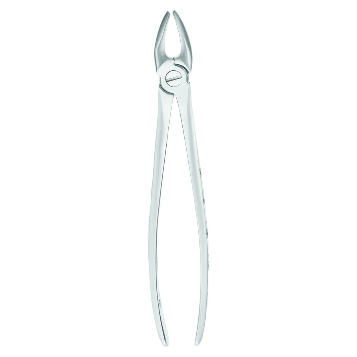 Professional dental extraction forceps anatomical design stainless steel set