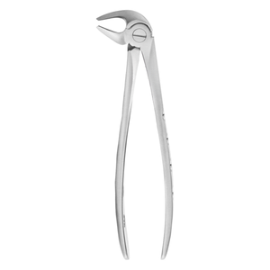 Dental surgical extraction forceps anatomical design stainless steel