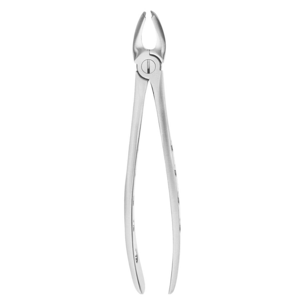 Anatomical dental extraction forceps set stainless steel instruments