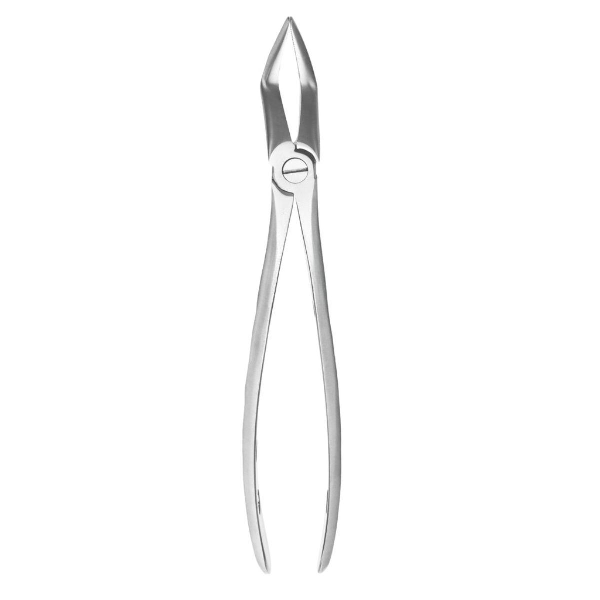 Stainless steel dental extraction forceps set with leather case