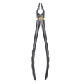 clinical dental forceps engineered for precision control and deep tooth access