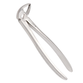 dental instrument extraction forceps 32 for precise tooth removal in clinical procedures
