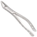 clinical dentistry tool designed for routine tooth removal with precise handling control