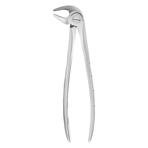 High-quality dental surgical extraction forceps stainless steel adults