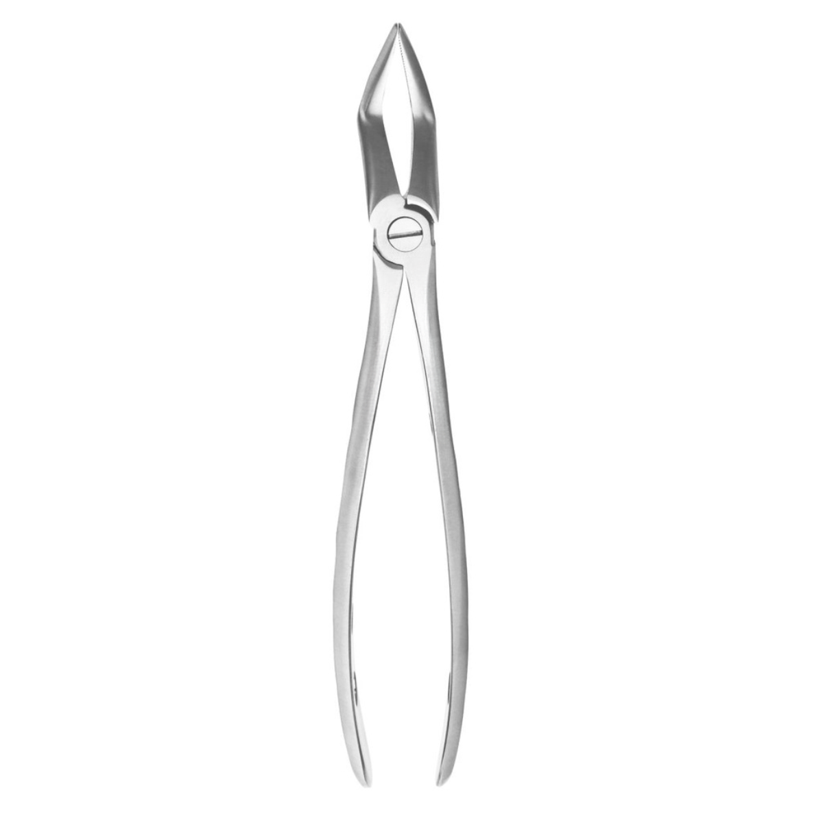 Durable dental surgical extraction forceps instruments adult patients