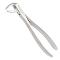 angled dental extraction instrument positioned for accessing posterior teeth during surgical removal