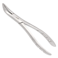 angled root extraction forceps with 45 degree offset designed for accessing retained dental roots