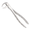 professional extraction tool designed for stable grip on dense molar roots