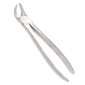 clinical dental forceps showing sharp tip design for root separation grip