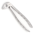 curved dental extraction forceps designed for gentle tooth removal with controlled grip stability