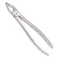 slim beak dental extraction forceps designed for tight interproximal tooth removal