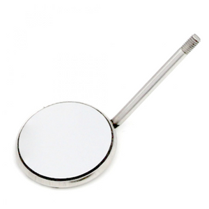Professional dental prophy kit stainless steel prophylaxis instruments