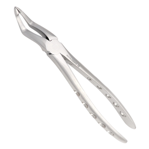root extraction forceps 51 dental surgical instrument for strong grip root removal procedures
