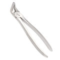 clinical dentistry extraction instrument forceps 31 for smooth workflow performance
